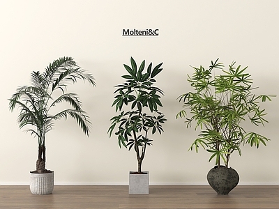 盆栽 植物盆栽 盆栽绿植 家居绿植组合