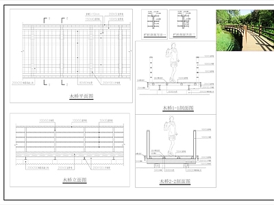 现代综合景观 景观小桥 施工图