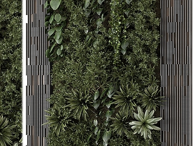绿植墙