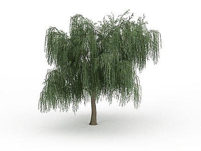 现代办公桌 垂柳