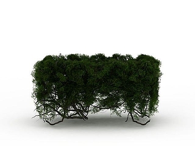 现代直播间 藤蔓