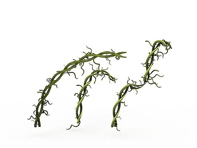 现代直播间 藤蔓植物