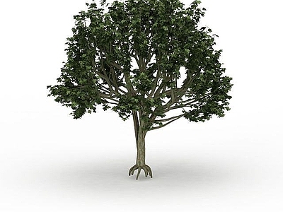 现代办公桌 园林观赏植被