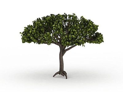 现代办公桌 绿色树木