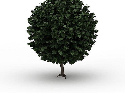 现代办公桌 茂盛球形绿树