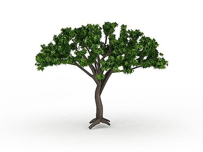 现代办公桌 枝干绿树