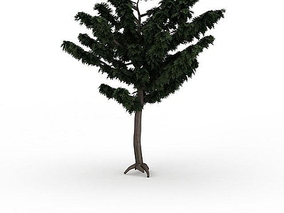 现代办公桌 分枝型景观植物