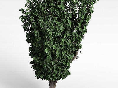 现代办公桌 景区绿色植被