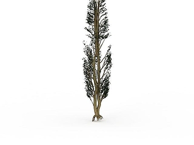 现代办公桌 绿色景观植物