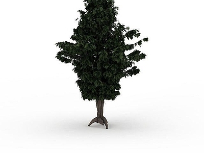 现代办公桌 观赏植被
