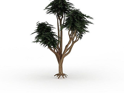 现代办公桌 绿色植被