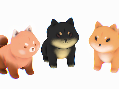 其他动物 柴犬 猫