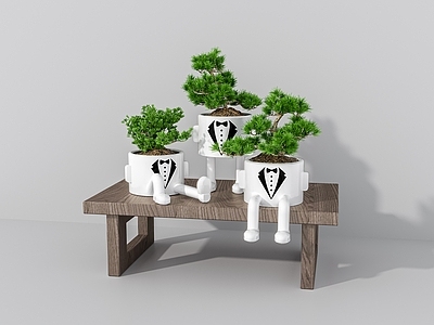 盆栽 迎客松 植物 盆栽
