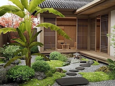 日式禅意庭院 居家院子庭院 汀步 植物景观 芭蕉 灌木
