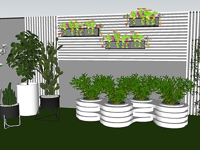 植物组合 盆栽组合 树池植物组合