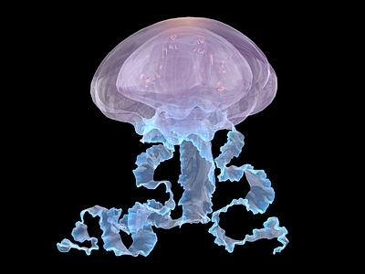 水生类动物 水母 月亮水母 海月水母 发光水母 海洋生物