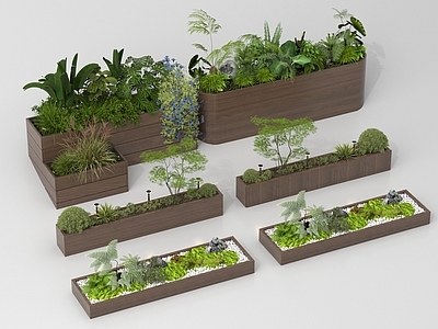 其他绿植 景观造景 植物组合 植物堆 外摆绿植花箱