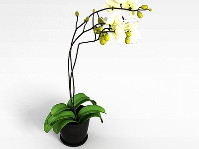 现代室内装饰花