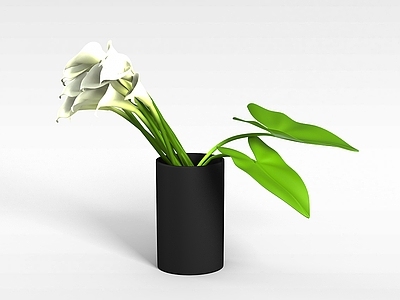 现代植物插花