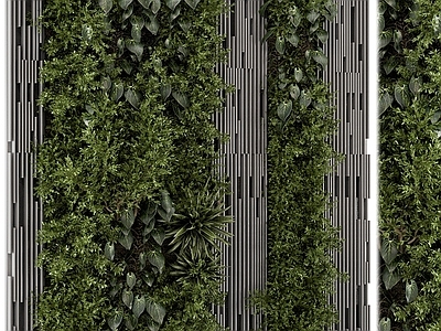 绿植墙