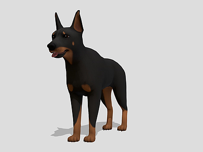 其他生活用品 杜宾犬 圈子里 狗