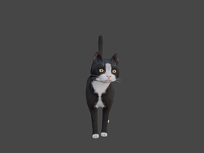 其他动物 旧版 猫