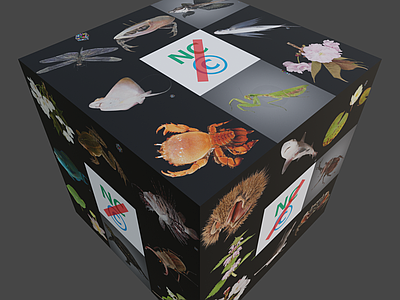 其他生活用品 图案 花卉