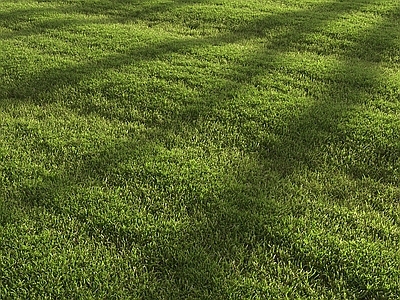 草