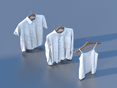 其他生活用品 衣服 服装 衣架