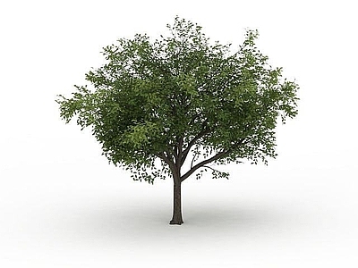 现代办公桌 绿色落叶植被