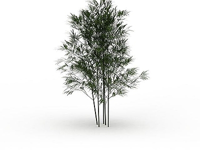 现代办公桌 绿色景观树木