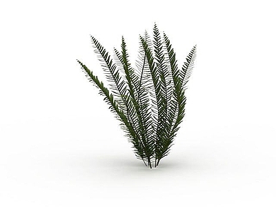 现代办公桌 观赏植物