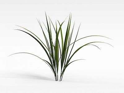 现代佛龛 绿色小草