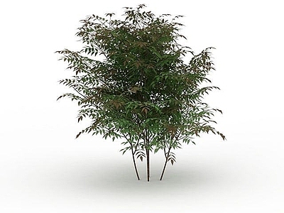 现代办公桌 绿色景观树