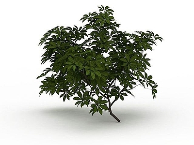 现代办公桌 落叶绿色植被
