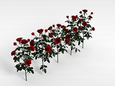 现代佛龛 玫瑰花