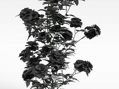 现代佛龛 月季花