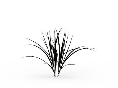 现代其他电器 野草