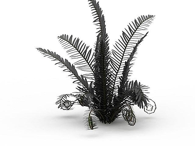 现代其他电器 蕨类植物