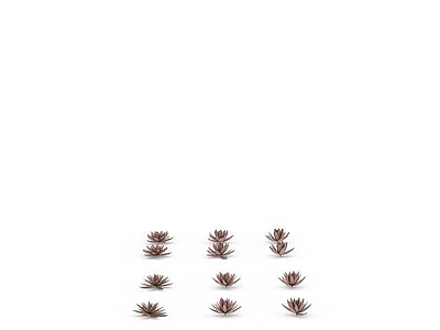 现代佛龛 水生花