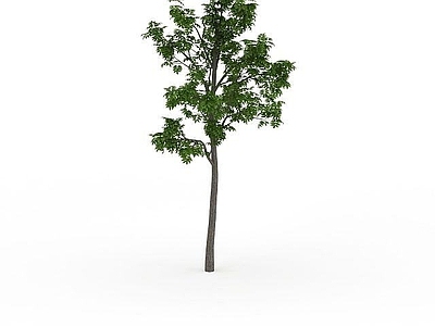 现代其他景观小品 景观装饰树