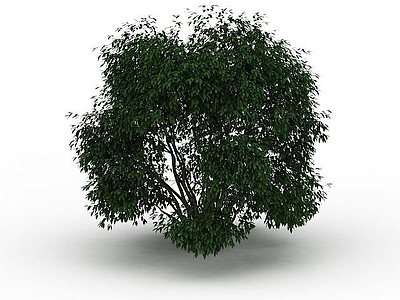 现代其他景观小品 灌木