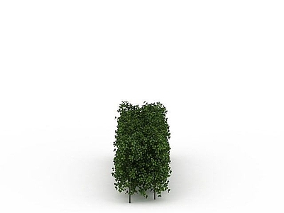现代其他景观小品 景观树