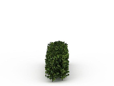 现代其他景观小品 景观树