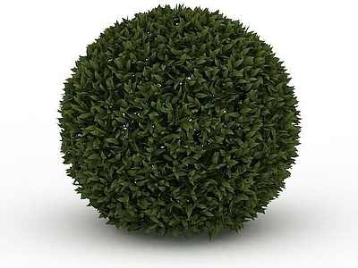 现代其他景观小品 景观树