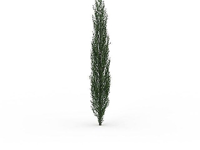 现代其他景观小品 园林柏树