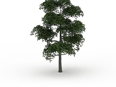 现代其他景观小品 园林树