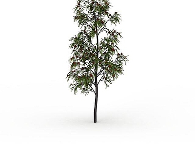 现代其他景观小品 景观树