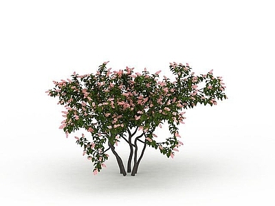 现代其他景观小品 园林装饰树
