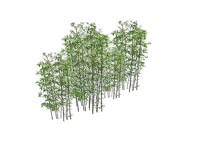 竹子 2D竹子 树池竹子 盆栽竹子 景观竹子